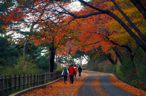 Con đường đến tháp NamSan (ảnh ST)