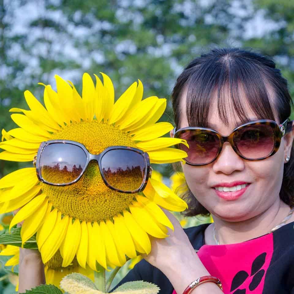 hoa hướng dương