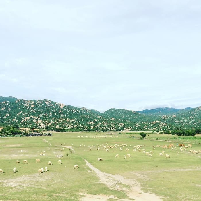 lang mong co