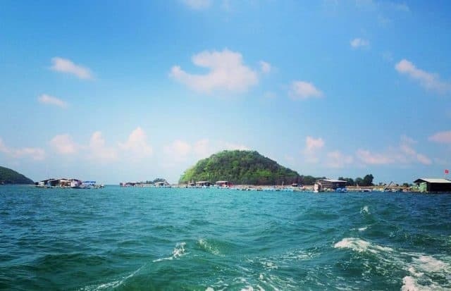 đảo hòn heo
